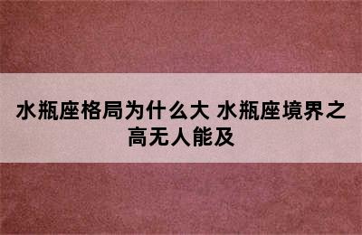 水瓶座格局为什么大 水瓶座境界之高无人能及